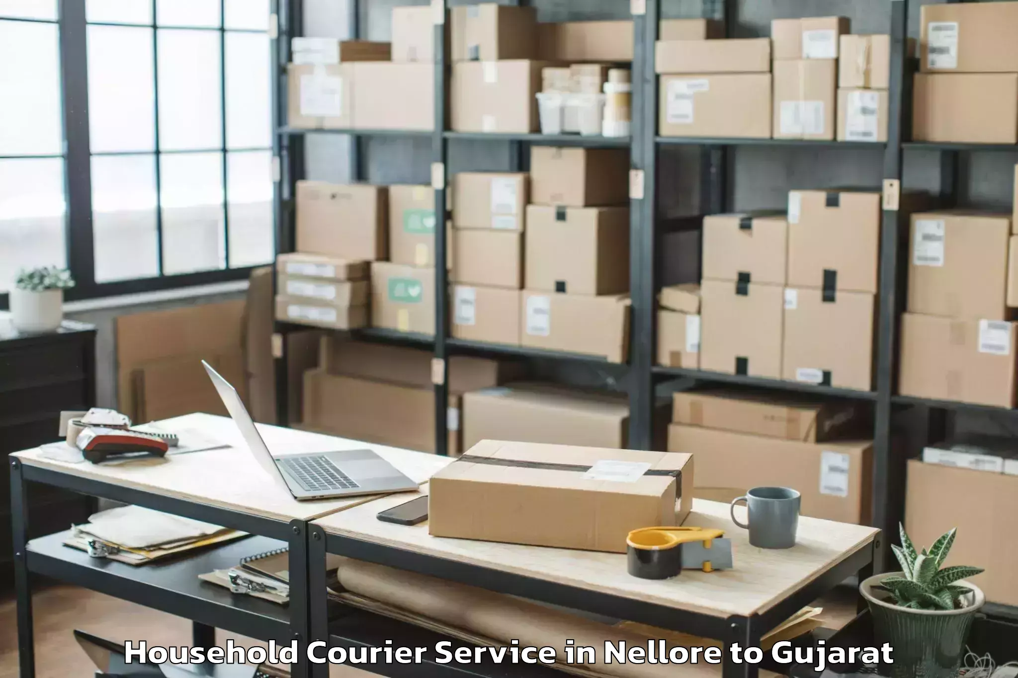 Quality Nellore to Marwadi University Rajkot Household Courier